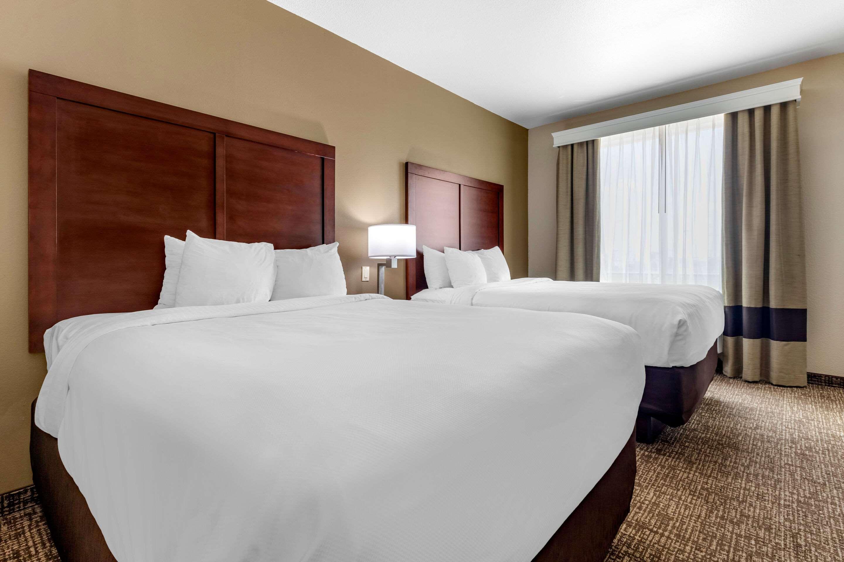 Comfort Inn & Suites Near Lake Lewisville Corinth Luaran gambar